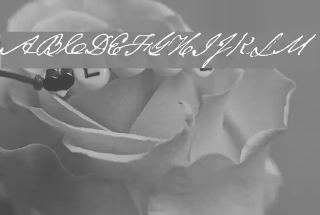 Texas Hero Font examples