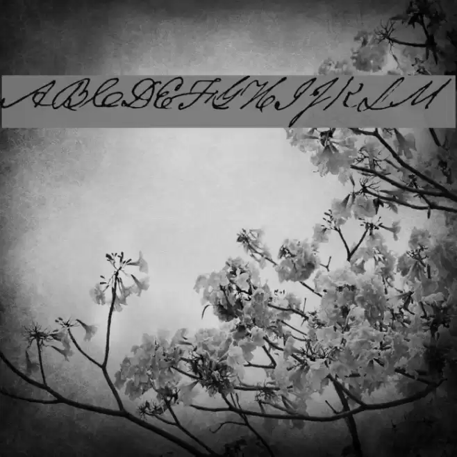 Texas Hero Font examples