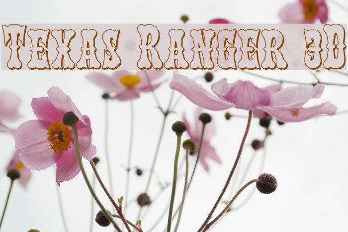 Texas Ranger 3D Font examples