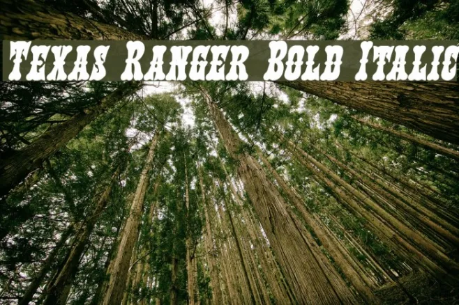 Texas Ranger Bold Italic Example 2