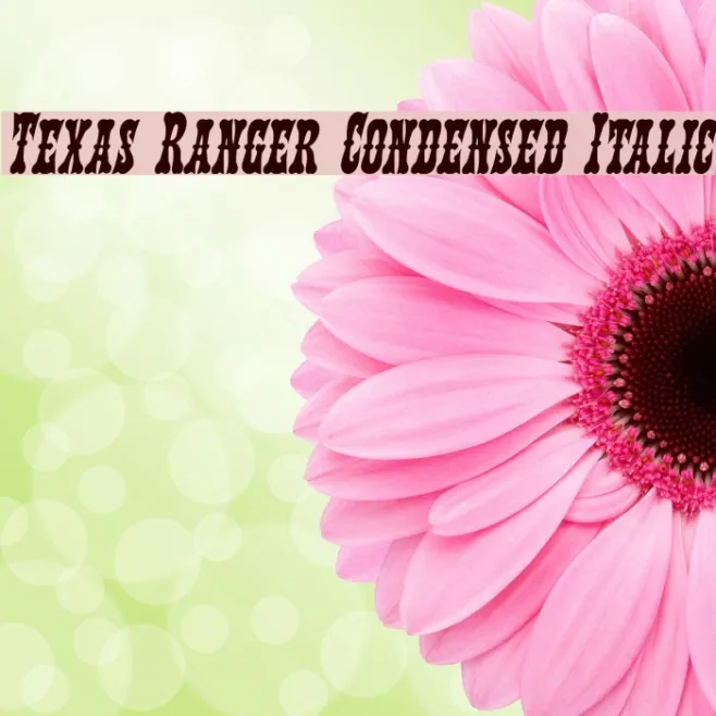 Texas Ranger Condensed Italic Example 1