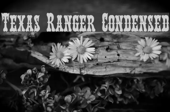 Texas Ranger Condensed Font examples