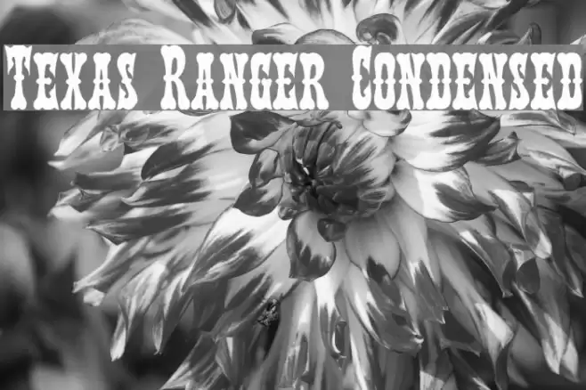 Texas Ranger Condensed Font examples
