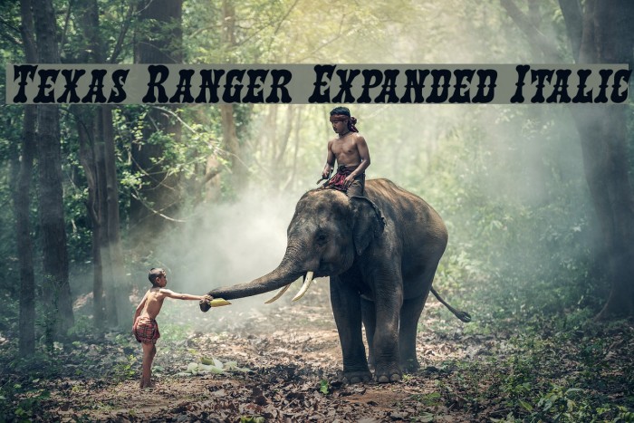 Texas Ranger Expanded Italic フォント examples