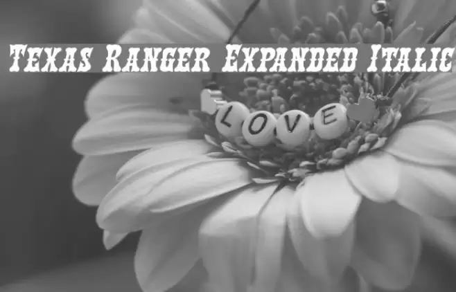 Texas Ranger Expanded Italic フォント examples