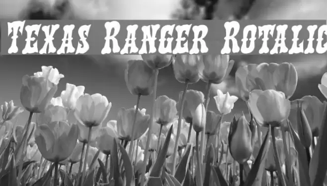 Texas Ranger Rotalic Font examples