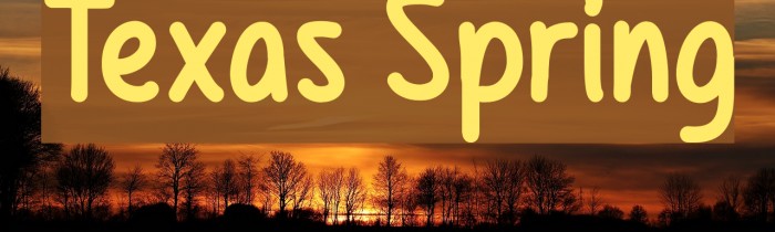 Texas Spring Example 1