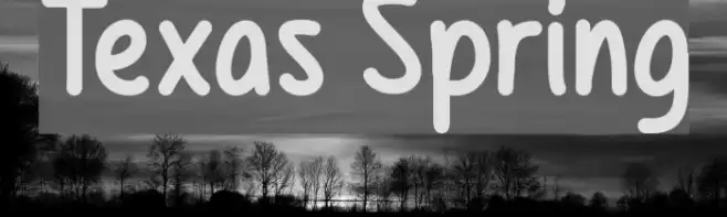 Texas Spring Font examples