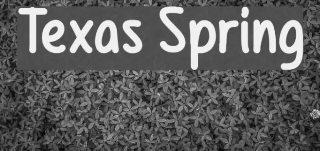 Texas Spring Font examples