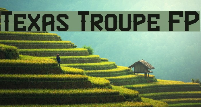 Texas Troupe FP Font examples