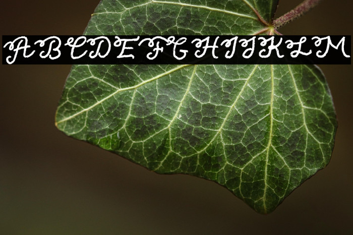 Texas Twilight Example 3