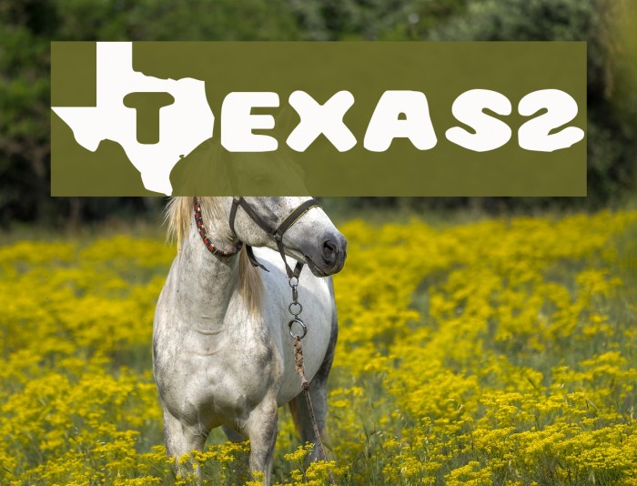 Texas2 Font examples