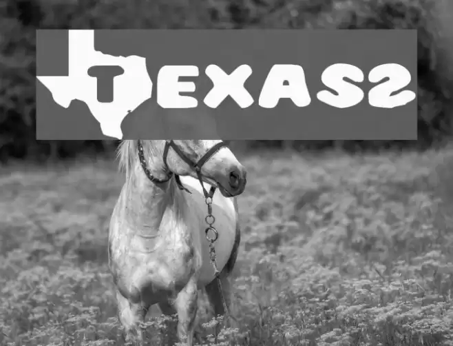 Texas2 Font examples