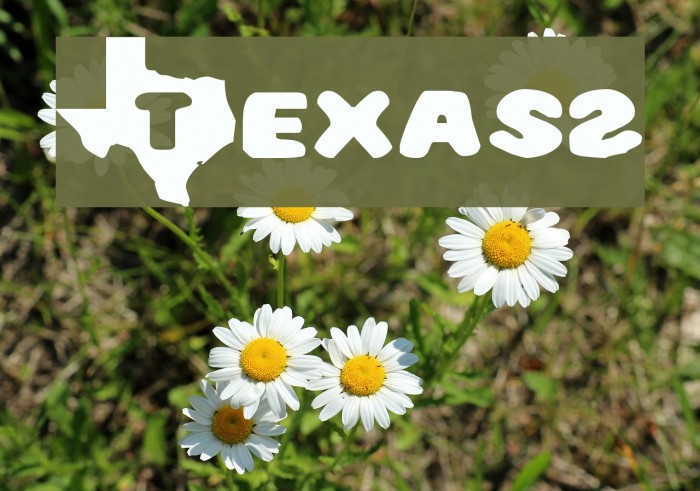 Texas2 Font examples