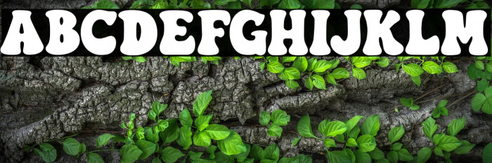 TexasSauce Example 2