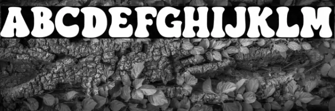 TexasSauce Font examples