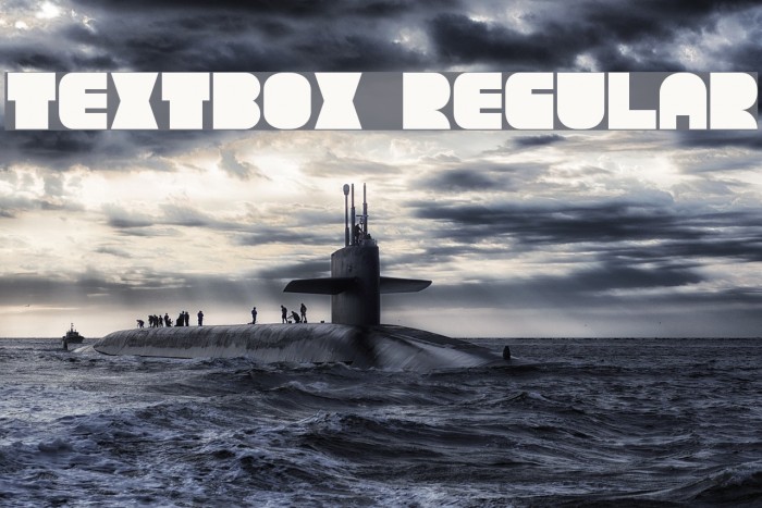 TextBox Regular Font examples