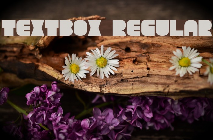 TextBox Regular Font examples