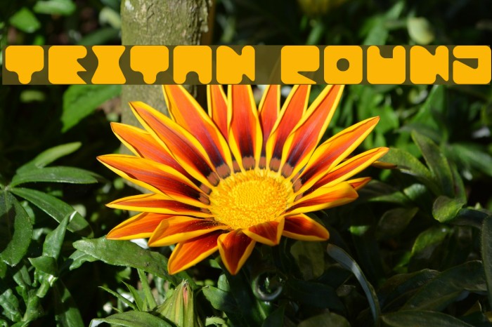 Textan Round Font examples