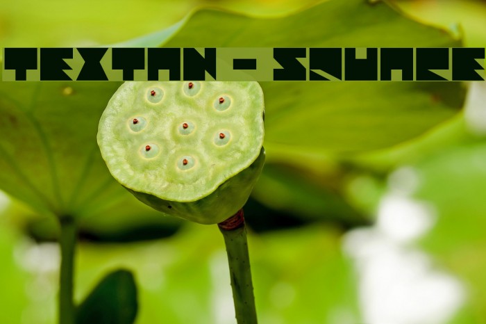 Textan - Square Font examples