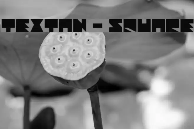 Textan - Square خط examples