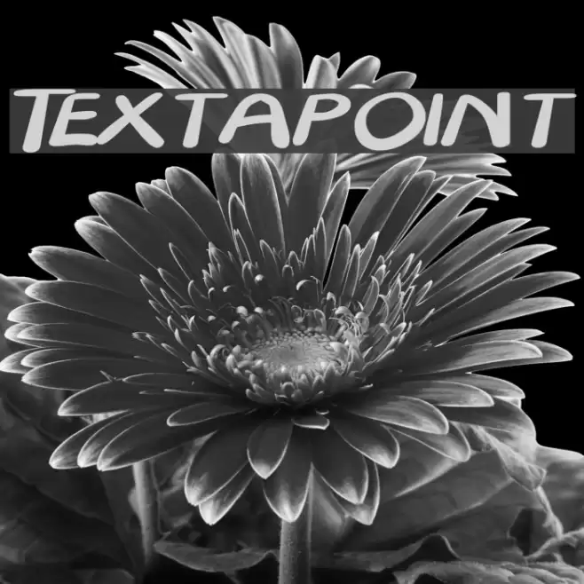 Textapoint Font examples