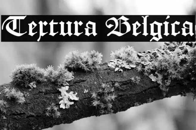 Textura Belgica Font examples