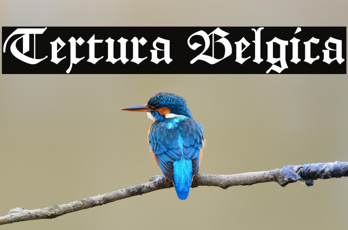 Textura Belgica Example 2