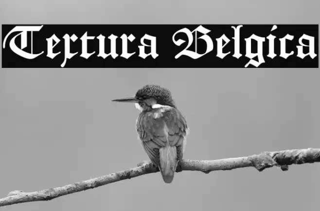 Textura Belgica Font examples