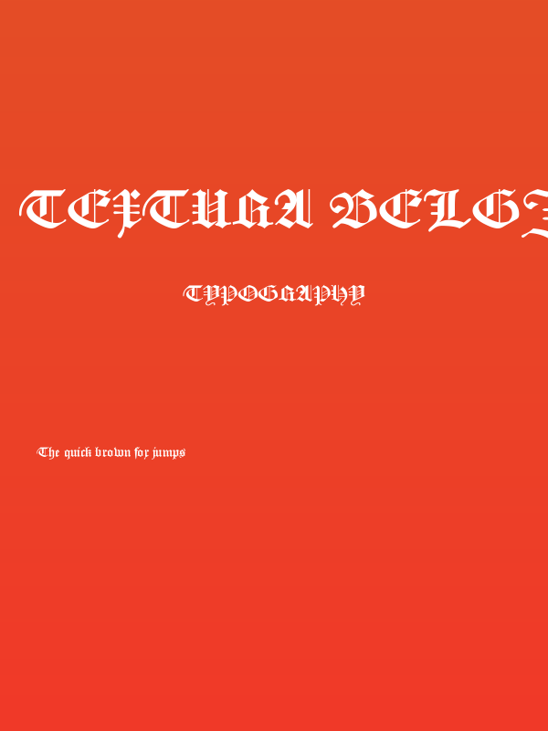 Textura Belgica Poster