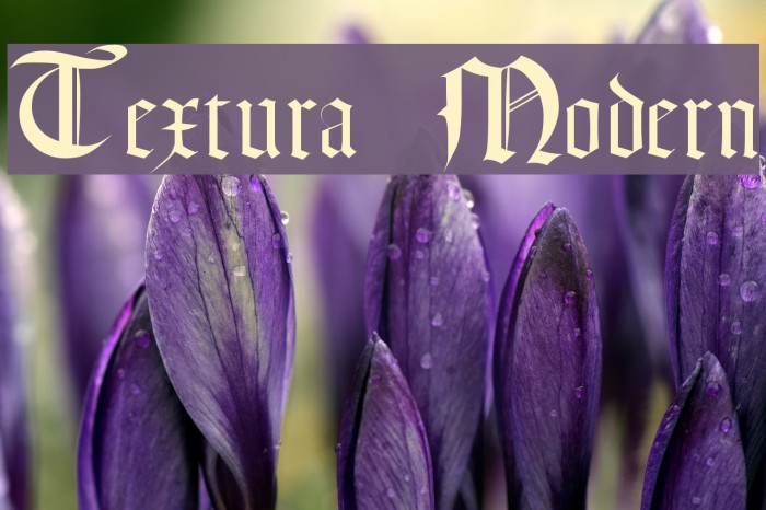 Textura Modern Font examples