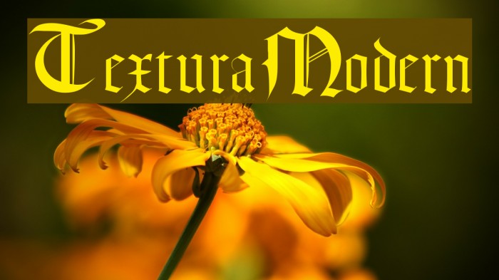 TexturaModern Font examples