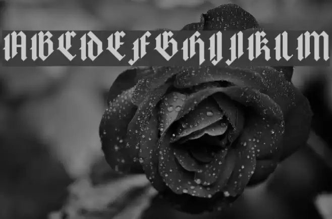 Texture Regular Font examples