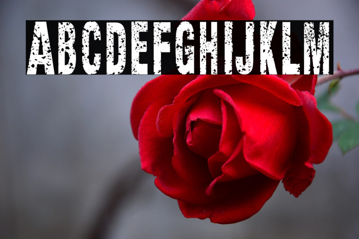 Texture Road Example 2