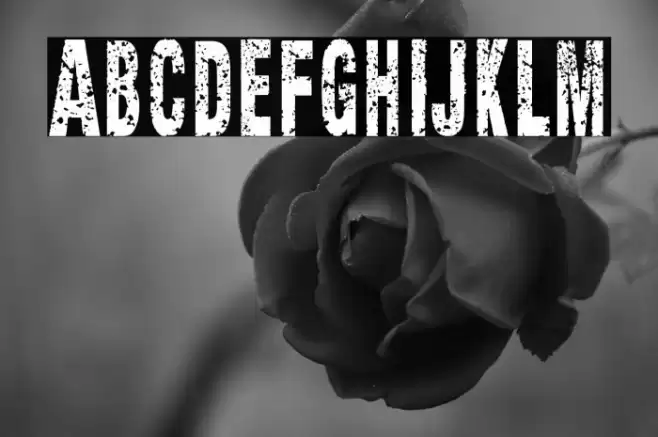 Texture Road Font examples