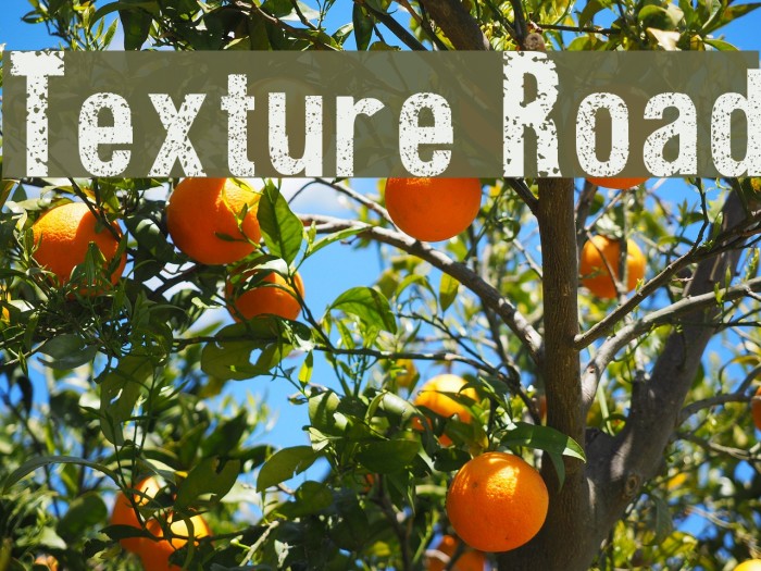 Texture Road Font examples