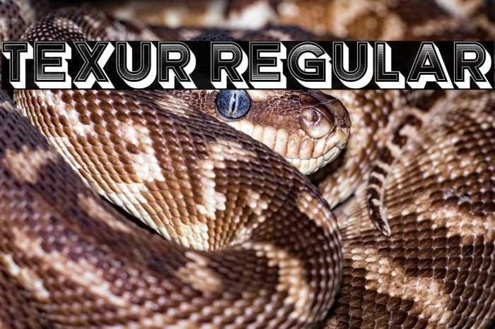 Texur Regular Example 1