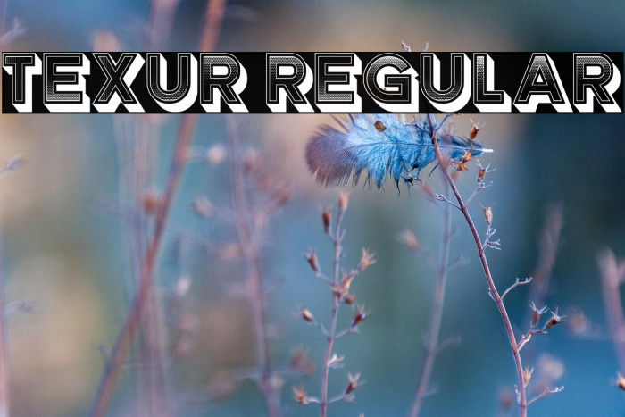 Texur Regular Example 2