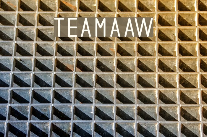 teamaaw Example 2