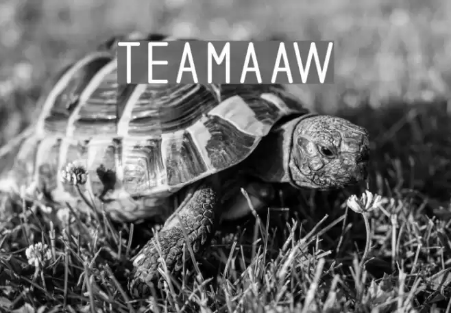 teamaaw Font examples