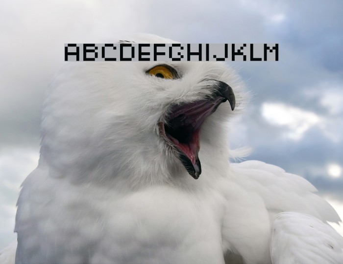 techkr Font examples