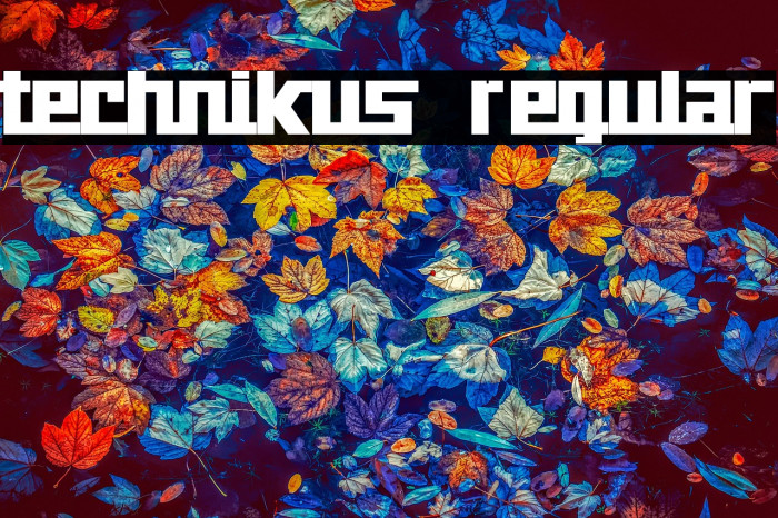 technikus Regular Example 3