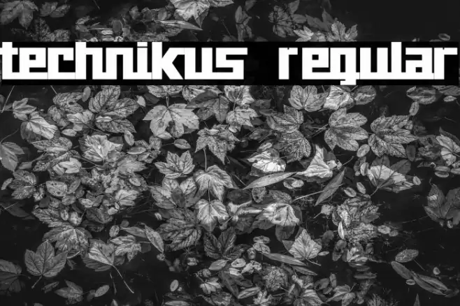 technikus Regular Font examples