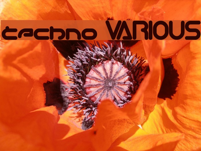 techno VARIOUS Font examples
