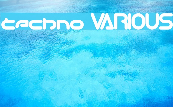 techno VARIOUS Example 2