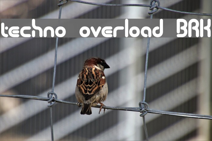 techno overload BRK Font examples