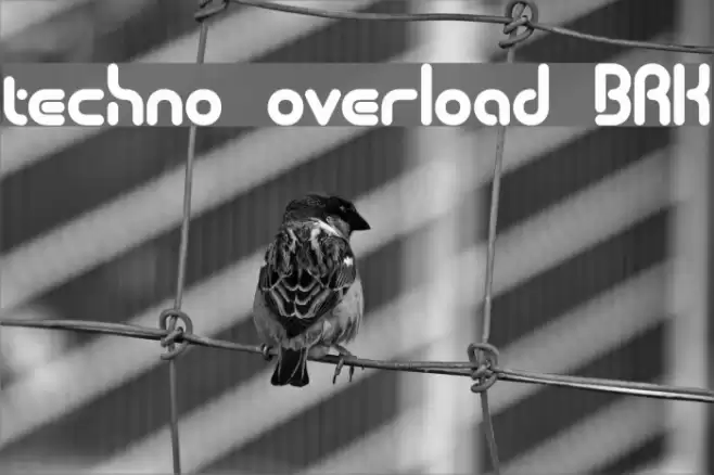 techno overload BRK Fuentes examples