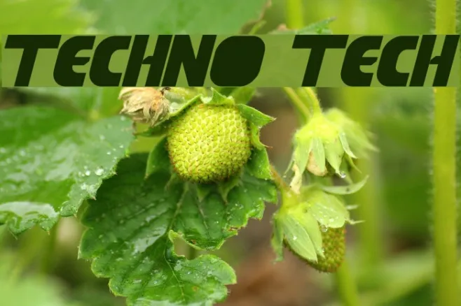 techno tech Example 1
