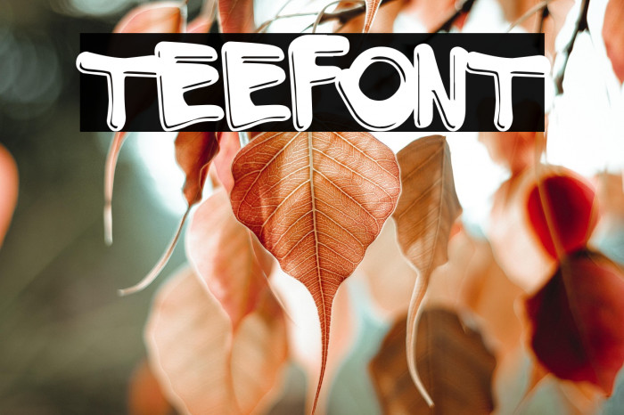 teefont Example 1