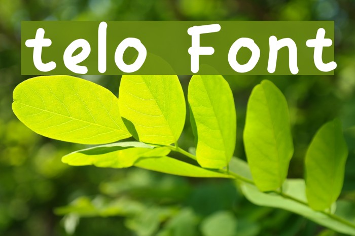 telo Font examples